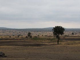 Day 2_ Tarangire National Park