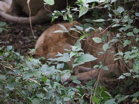 Day 3_ Lake Manyara National Park