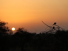 Day 5_ Serengeti National Park