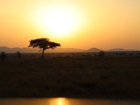 Day 6_ West Serengeti